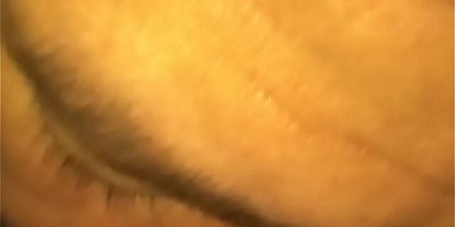 blowjob